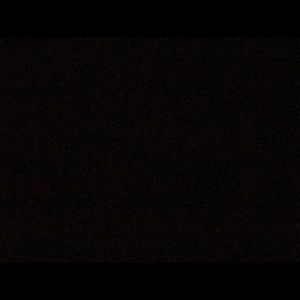 Meet your Posher, Dalila